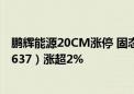 鹏辉能源20CM涨停 固态电池异动 新能源车龙头ETF（159637）涨超2%