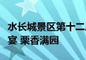 水长城景区第十二届长城板栗文化节：金秋盛宴 栗香满园