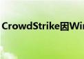 CrowdStrike因Windows故障下调业绩预期