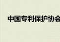 中国专利保护协会锂电池专业委员会成立