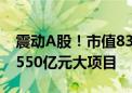 震动A股！市值83亿、三年半亏损86亿 要搞550亿元大项目