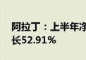 阿拉丁：上半年净利润4726.99万元 同比增长52.91%