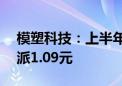 模塑科技：上半年净利同比增60.37% 拟10派1.09元