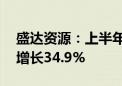 盛达资源：上半年净利润8249.48万元 同比增长34.9%