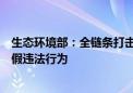 生态环境部：全链条打击机动车检验检测、维修机构弄虚作假违法行为