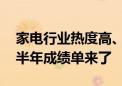 家电行业热度高、低空经济受关注 上市公司半年成绩单来了