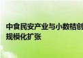 中食民安产业与小数桔创投达成战略合作 支持中国餐饮品牌规模化扩张