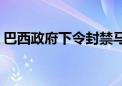 巴西政府下令封禁马斯克旗下社交媒体平台X