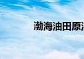 渤海油田原油日产创历史新高