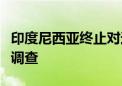 印度尼西亚终止对进口人造长丝纱线保障措施调查