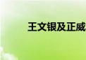 王文银及正威集团等被强执3.8亿