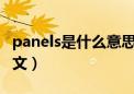 panels是什么意思中文（panel是什么意思中文）