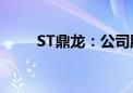 ST鼎龙：公司股票终止上市暨摘牌