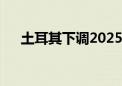 土耳其下调2025年GDP增长预测至4%