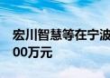 宏川智慧等在宁波成立仓储公司 注册资本2000万元