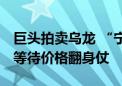 巨头拍卖乌龙 “宁王”出击抄底 碳酸锂仍在等待价格翻身仗