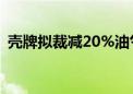 壳牌拟裁减20%油气勘探人员？该公司回应