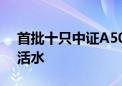 首批十只中证A500ETF闪电获批！A股再迎活水