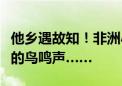 他乡遇故知！非洲小伙在北京听到了家乡熟悉的鸟鸣声……