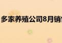 多家养殖公司8月销售回暖 生猪均价同比上涨