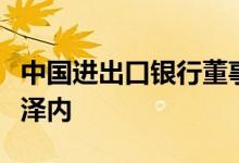 中国进出口银行董事长吴富林拜会尼日尔总理泽内