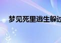 梦见死里逃生躲过一劫（梦见死里逃生）