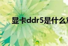 显卡ddr5是什么意思（r5是什么意思）