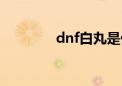 dnf白丸是什么（dnf白丸）