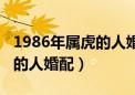 1986年属虎的人婚配什么生稍（1986年属虎的人婚配）