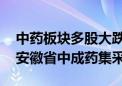 中药板块多股大跌 华润三九、葵花药业回应安徽省中成药集采