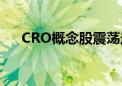 CRO概念股震荡走低 药明康德跌超6%