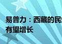 易普力：西藏的民爆器材用量和爆破服务业务有望增长