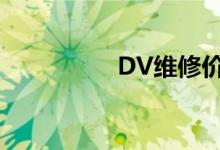 DV维修价格（dv维修）