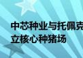 中芯种业与托佩克种猪宣布合资合作 共同建立核心种猪场