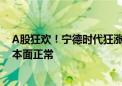 A股狂欢！宁德时代狂涨两日市值超1万亿元 锂价反弹但基本面正常