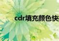 cdr填充颜色快捷键（cdr填充颜色）