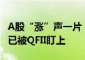 A股“涨”声一片 科创板何以掘金？这些公司已被QFII盯上