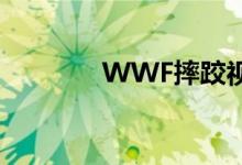 WWF摔跤视频（wwf摔跤）