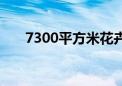 7300平方米花卉绽放海淀为祖国庆生