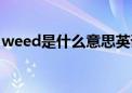 weed是什么意思英语翻译（weed什么意思）