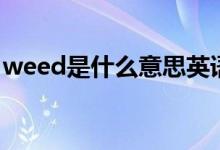 weed是什么意思英语翻译（weed什么意思）