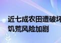 近七成农田遭破坏 加沙地带人道主义危机和饥荒风险加剧