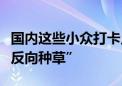 国内这些小众打卡点藏不住了！“被外国游客反向种草”