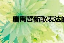 唐禹哲新歌表达的意思（唐禹哲新歌）