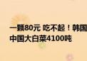 一颗80元 吃不起！韩国部分摊主停售大白菜：将追加进口中国大白菜4100吨