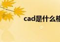 cad是什么格式（cad是什么）