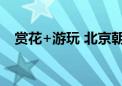 赏花+游玩 北京朝阳国庆游园攻略来啦→