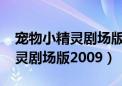 宠物小精灵剧场版2022在线观看（宠物小精灵剧场版2009）