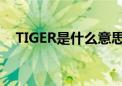 TIGER是什么意思啊（tiger是什么意思）