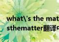 what's the matter with 翻译中文（whatsthematter翻译中文）